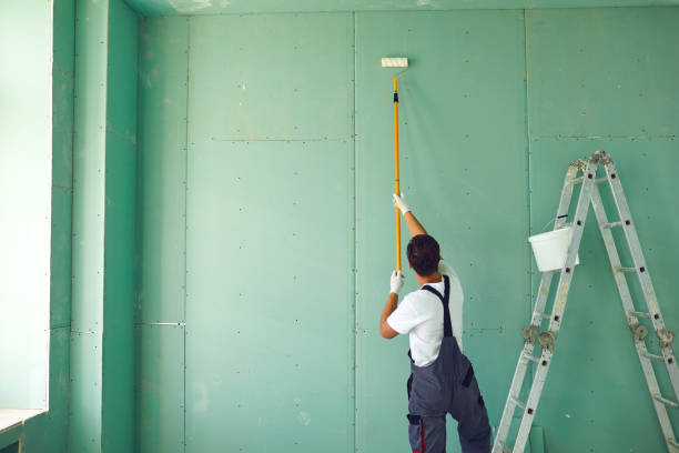Mold Documentation for Insurance Claims in Mahanoy City, PA