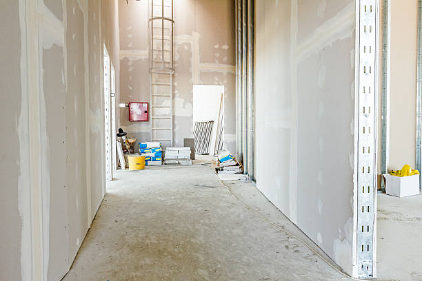 Best Attic Mold Removal  in Mahanoy City, PA