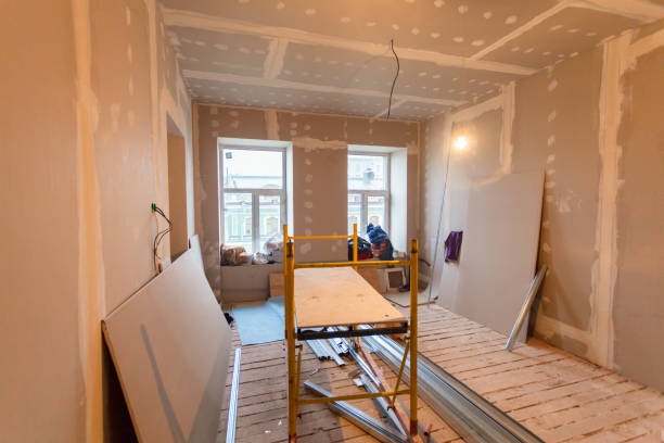 Mold Remediation for Vacation Homes in Mahanoy City, PA